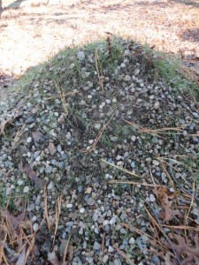 Awe-inspiring Mt. Chia