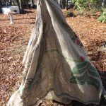 Outdoor survival skills!