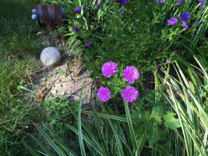 12027304_10154268907498135_6245865069587906903_o